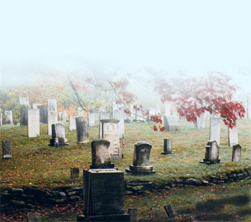 Cem.gif